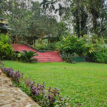 Blue Magpie Lodge Sinharaja Kudawe Eksteriør bilde