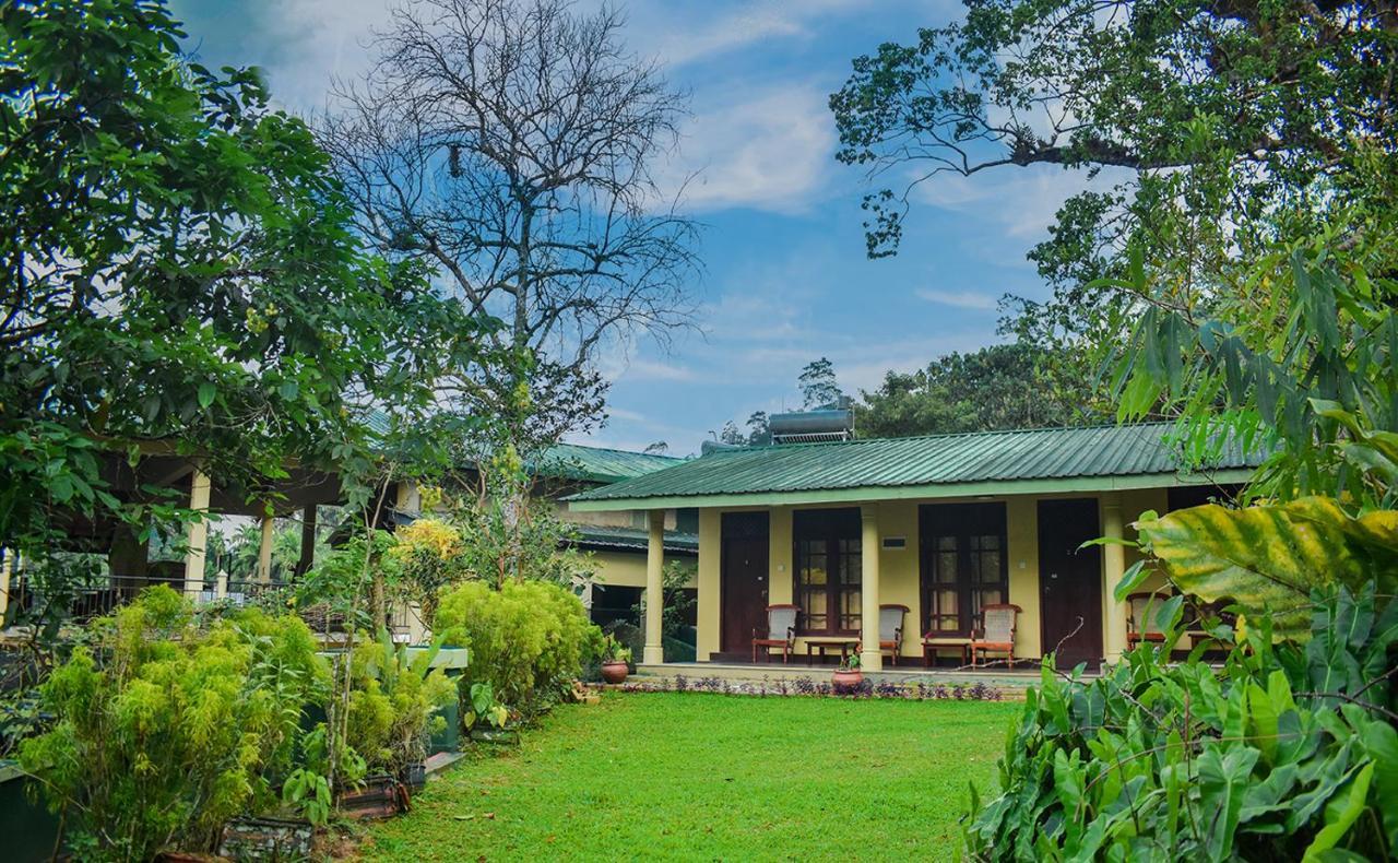 Blue Magpie Lodge Sinharaja Kudawe Eksteriør bilde