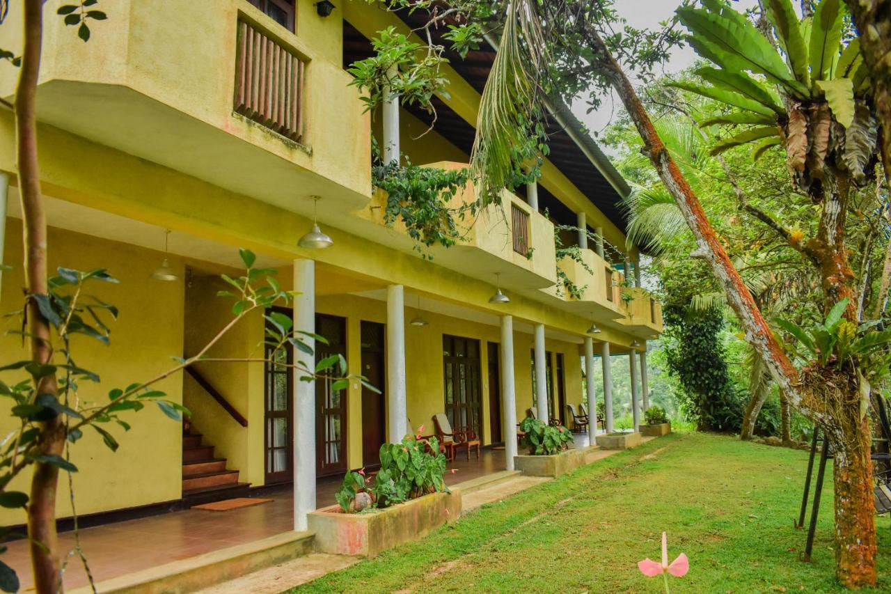 Blue Magpie Lodge Sinharaja Kudawe Eksteriør bilde
